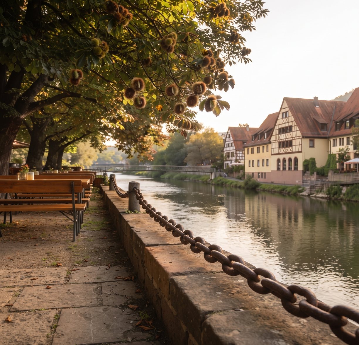 Blick aus dem Biergarten über die alte Anlegekette auf die Tauber und die Häuser der Altstadt